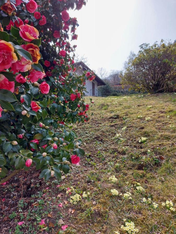 La Casa delle Camelie Villa Stresa Esterno foto
