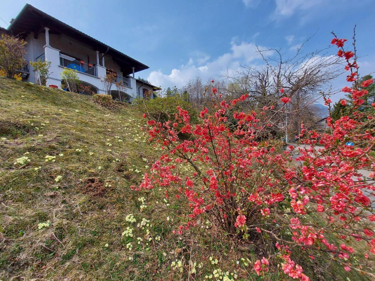 La Casa delle Camelie Villa Stresa Esterno foto